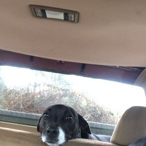 Meet your Posher, Kellie